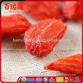 Bagas de Goji Secas de Primeira Classe Bagas de Goji Orgânicas Frutas de Goji Sem quaisquer aditivos